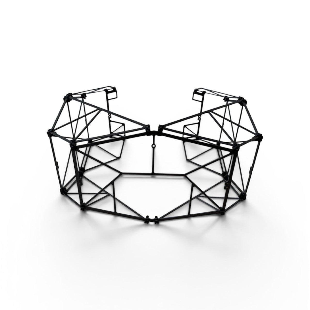 Nolvis X1 cage, high rear angle