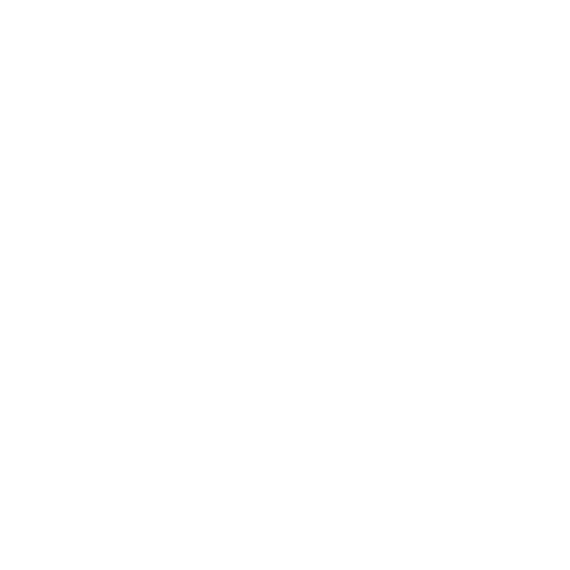 GOVERNMENT