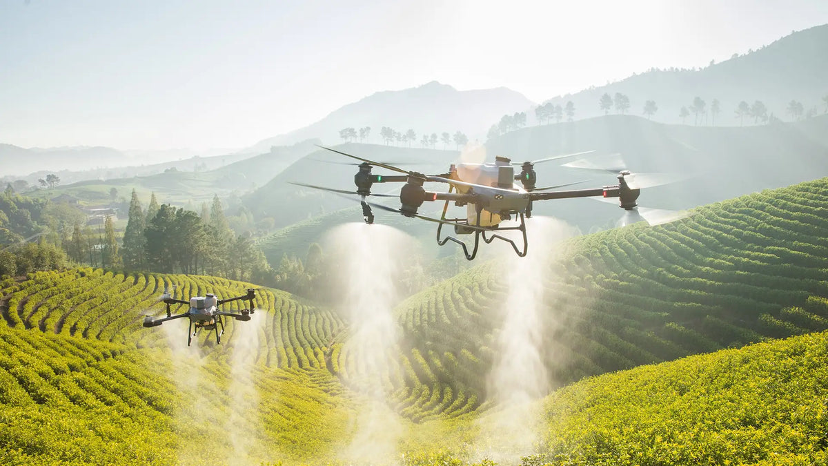 DJI Agras T50 and T25 crop spraying drones performing precision agriculture operations over farmland to improve spraying efficiency and crop management.