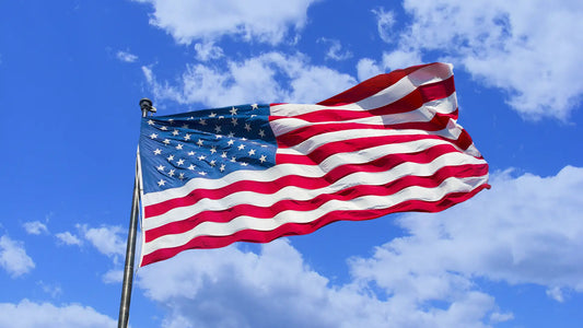 Grounding Foreign Drones in the US: Senators Band Together In New Bipartisan Bill