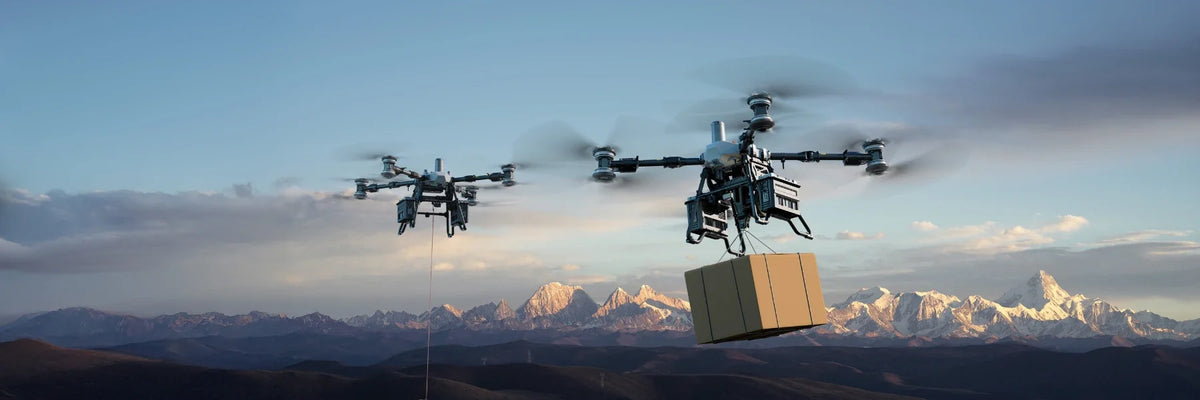 Shop / Drones & Parts / DJI FlyCart 100