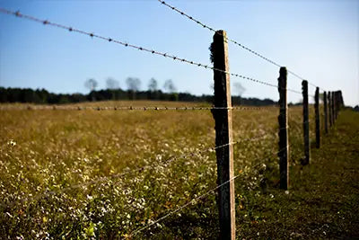 Asset and Perimeter Security