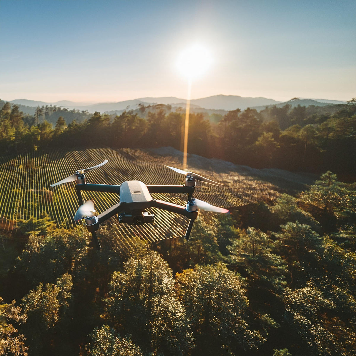 Drones for Hunting & Wildlife