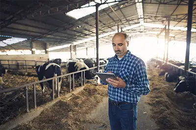 Herd Tracking and Counting