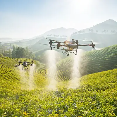 Agriculture