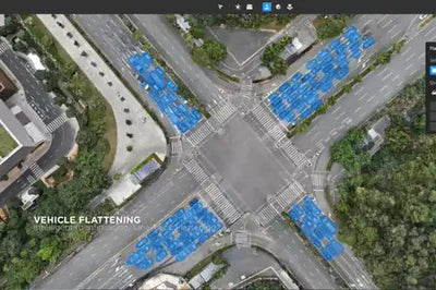 Disaster Mapping and Area Triage