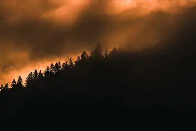 Wildland Fire Mapping
