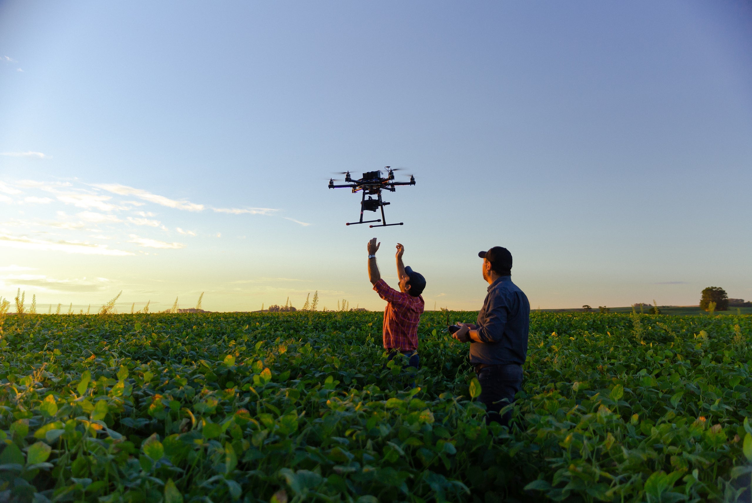 Agricultural drone training on an open field during sunrise.