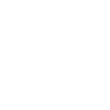 Emergency Support